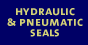 Hydraulic & Pneumatic Seals